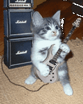 pic for Rock Kitty